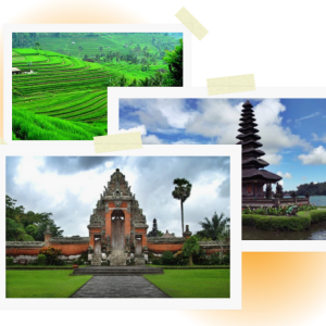 full day tour